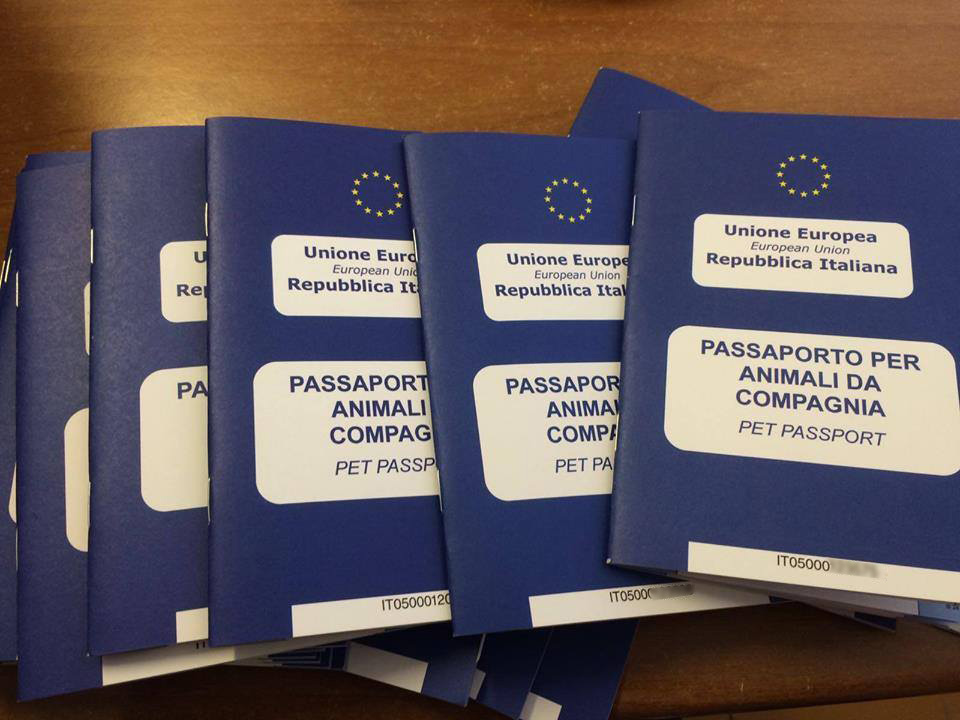 Passports prepared and ready